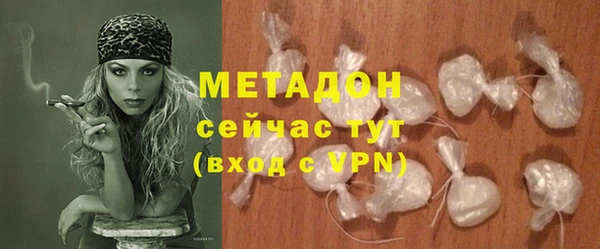 индика Нягань