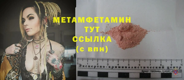 индика Нягань