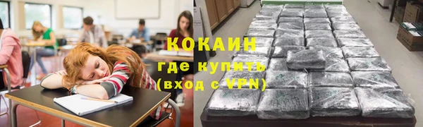 индика Нягань