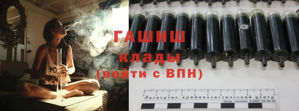 индика Нягань