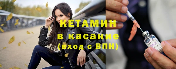 индика Нягань