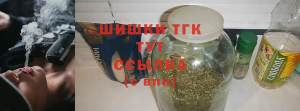 индика Нягань