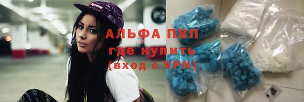 индика Нягань