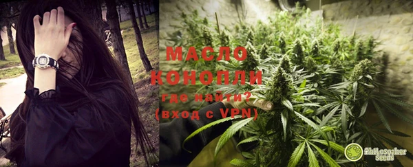 индика Нягань