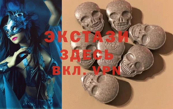 индика Нягань
