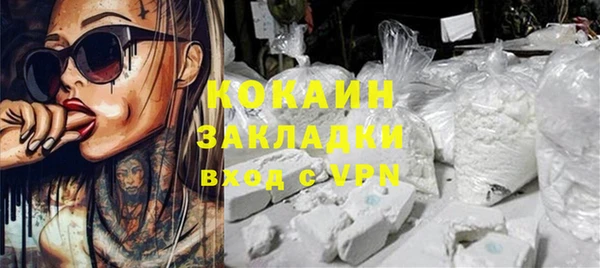 индика Нягань