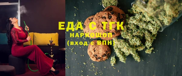 индика Нягань