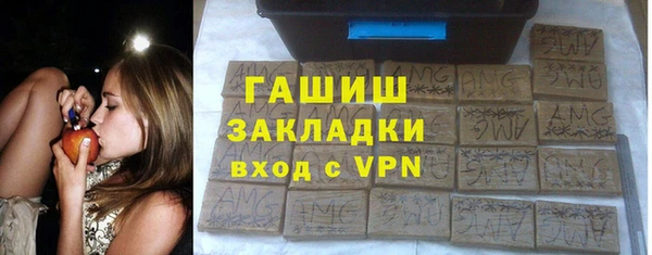 индика Нягань